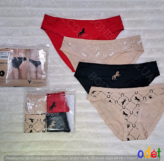 Жіночі кольорові трусики-сліп (4 шт./уп.) "Obrana" (арт. 200-30/16) Кривой Рог - изображение 1
