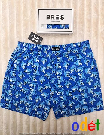 Чоловічі сімейні труси BRES «Crazy Shark» (арт. MBXK 307/01/126) Кривой Рог - изображение 1
