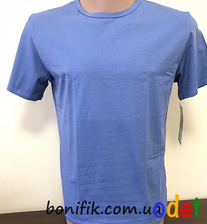 Синя чоловіча спортивна футболка (арт. Ф 950109) Кривой Рог - изображение 1